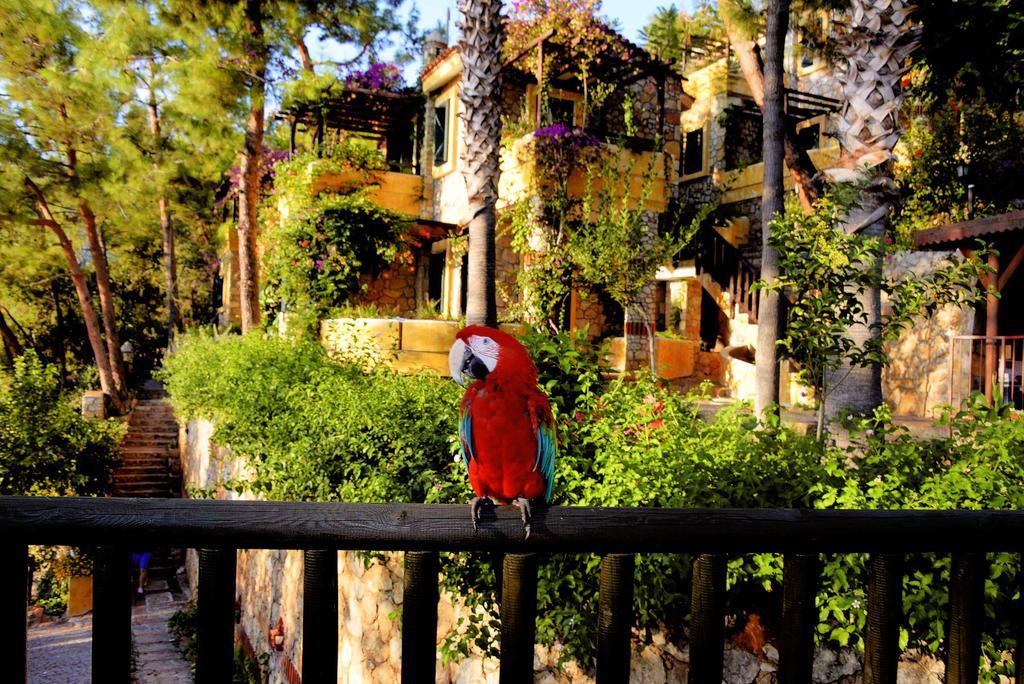Symbola Oludeniz Beach Hotel Exterior foto